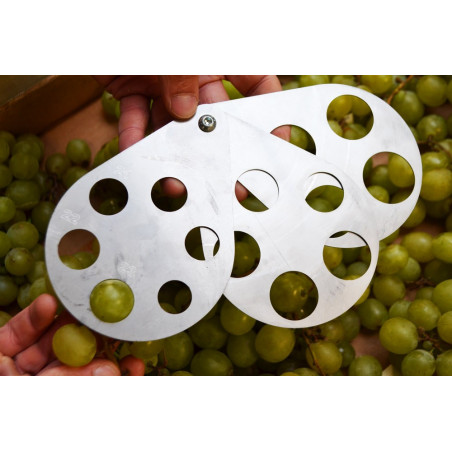 Grape/vegetable measuring tool 10 to 32mm