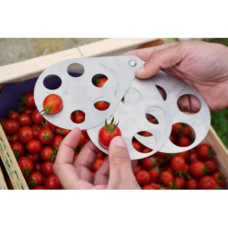 Grape/vegetable measuring tool 10 to 32mm