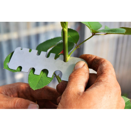 Rose bush measuring tool 3.5 to 14mm