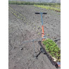 Distance row marker for Paperpot transplanter