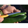 Salad harvest knife 11cm