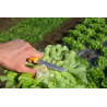 Salad harvest knife 11cm