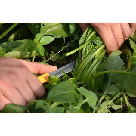 Salad harvest knife 11cm