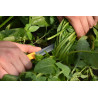 Salad harvest knife 11cm