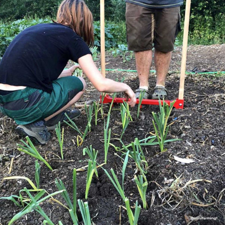 Leek planter