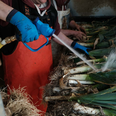 Vegetable cleaning gun