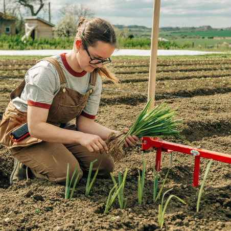 Leek planter