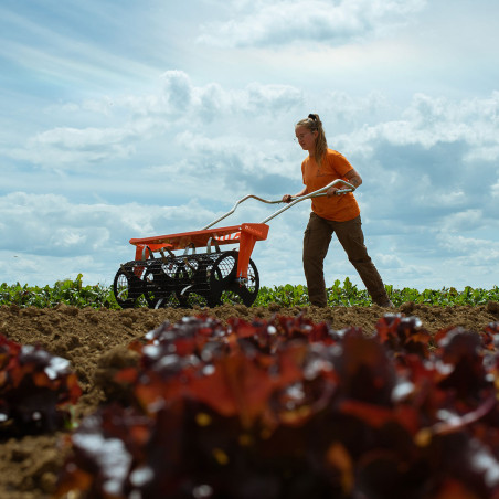 Plastic mulch hole puncher/seedbed roller