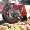 Brush hoeing machine for plastic mulch