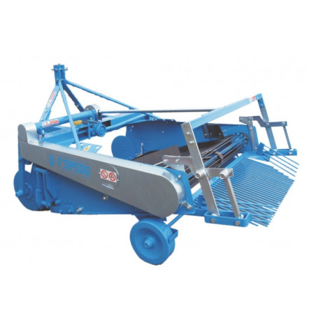 Chain-operated multi-row potato harvester