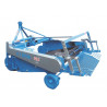 Chain-operated multi-row potato harvester