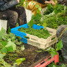 Stackable/nestable harvest crate 50% 60x40cm with perforated bottom