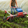 E-Weed Master - Market Gardener Toolcarrier 24V 500W