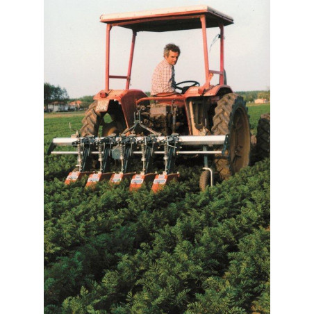 Multi-cultivator hoeing machine, FLA model