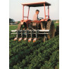 Multi-cultivator hoeing machine, FLA model