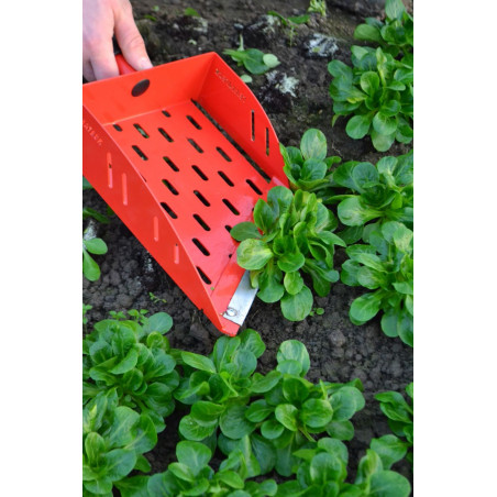 Manual babyleaf harvester