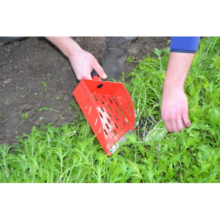 Manual babyleaf harvester