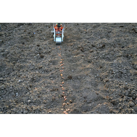 Microbulb single-row transplanter